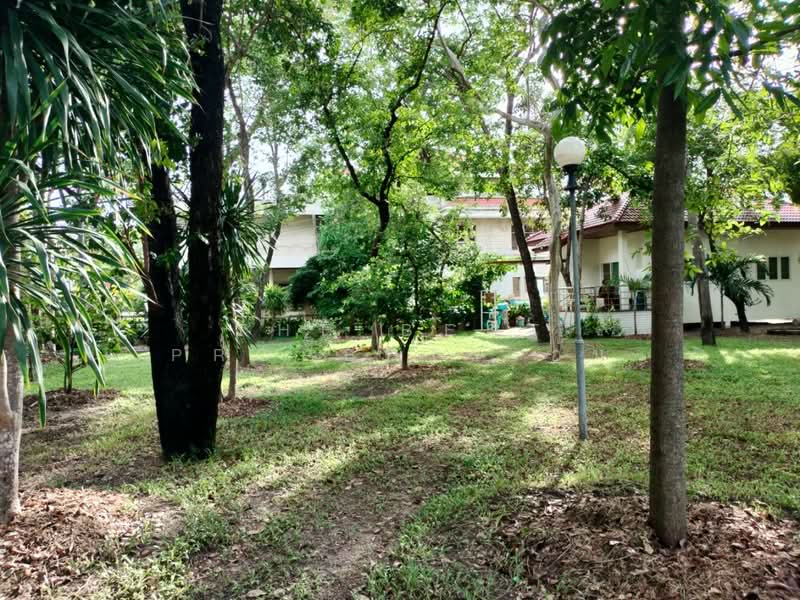 ริมทะเล ชลบุรี, Chon Buri (Pattaya), Samed, Muang Chon Buri, Chon Buri (Pattaya), 8 Bedrooms, 200 sqm, Single Detached House For Sale, by The Best Property อ้น, 500198131 - DDproperty.com