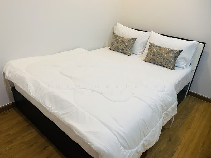 he First House, Phuket, Ratsada, Muang Phuket, Phuket, 3 Bedrooms, 56 sqm, Single Detached House For Rent, by primeglobalasset Beaky, 500198135 - DDproperty.com