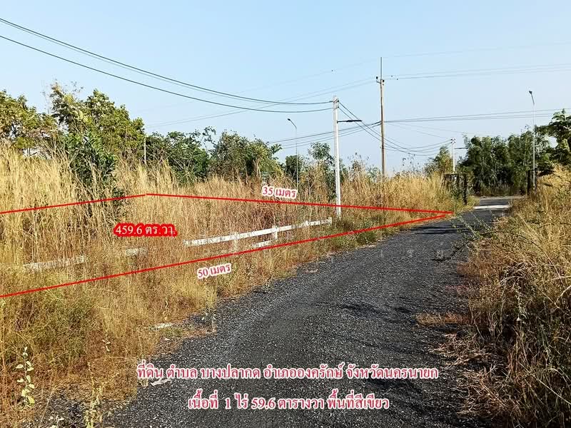 ที่ดินองครักษ์ นครนายก, Nakhon Nayok, Bang Pla Kot, Ongkharak, Nakhon Nayok, , 1,836 sqm, Land For Sale, by The Best Property เรย์, 500198207 - DDproperty.com