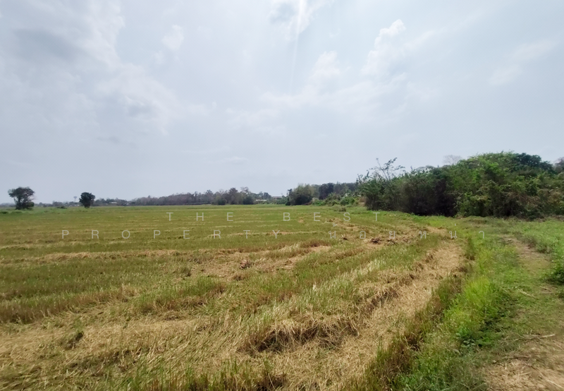 ที่ดินท่าเสา อุตรดิตถ์, Uttaradit, Tha Sao, Muang Uttaradit, Uttaradit, , 5,500 sqm, Land For Sale, by The Best Property น้อยหน่า, 500198219 - DDproperty.com