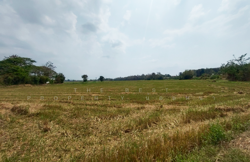 ที่ดินท่าเสา อุตรดิตถ์, Uttaradit, Tha Sao, Muang Uttaradit, Uttaradit, , 5,500 sqm, Land For Sale, by The Best Property น้อยหน่า, 500198219 - DDproperty.com