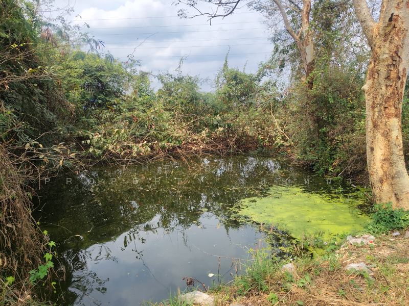 ที่ดินท่าเสา อุตรดิตถ์, Uttaradit, Tha Sao, Muang Uttaradit, Uttaradit, , 5,500 sqm, Land For Sale, by The Best Property น้อยหน่า, 500198219 - DDproperty.com