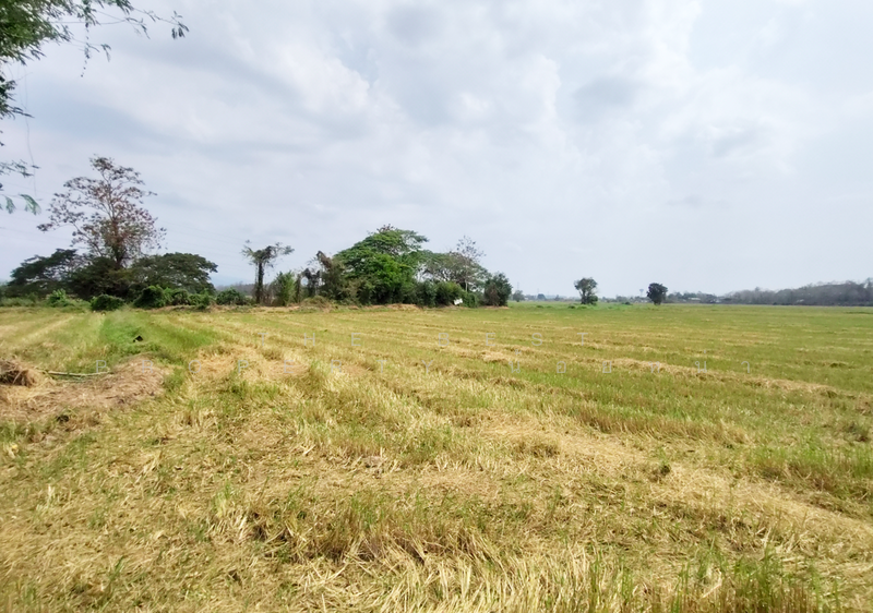 ที่ดินท่าเสา อุตรดิตถ์, Uttaradit, Tha Sao, Muang Uttaradit, Uttaradit, , 5,500 sqm, Land For Sale, by The Best Property น้อยหน่า, 500198219 - DDproperty.com