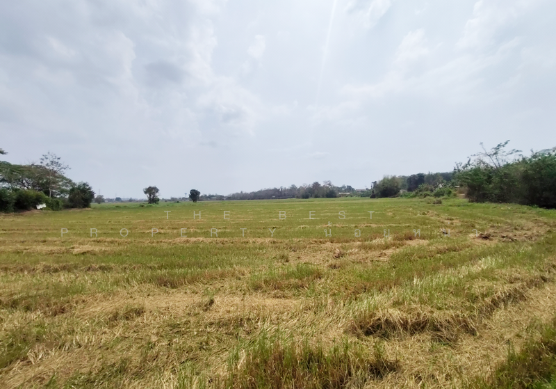 ที่ดินท่าเสา อุตรดิตถ์, Uttaradit, Tha Sao, Muang Uttaradit, Uttaradit, , 5,500 sqm, Land For Sale, by The Best Property น้อยหน่า, 500198219 - DDproperty.com