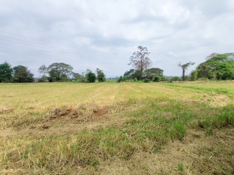 ที่ดินท่าเสา อุตรดิตถ์, Uttaradit, Tha Sao, Muang Uttaradit, Uttaradit, , 5,500 sqm, Land For Sale, by The Best Property น้อยหน่า, 500198219 - DDproperty.com