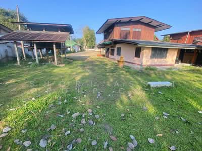 ขาย - ที่ดินแม่ริม, เชียงใหม่