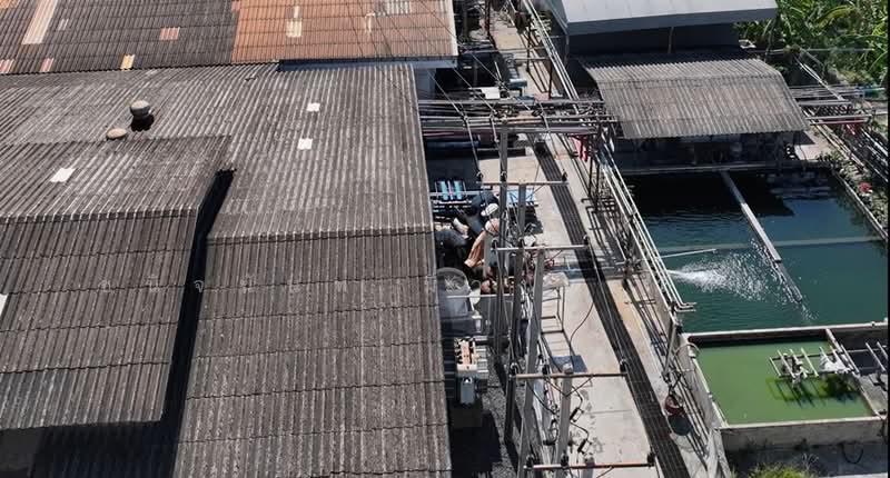 ที่ดินทำโรงงาน ขนาด 22 ไร่ แพรกษา สมุทรปราการ ใกล้นิคมบางปู, สมุทรปราการ, แพรกษา, เมืองสมุทรปราการ, สมุทรปราการ, 36,384 ตร.ม., ที่ดิน ขาย, โดย ชนิจนันท์ มีวงศ์อุโฆษ, 500198244 - DDproperty.com