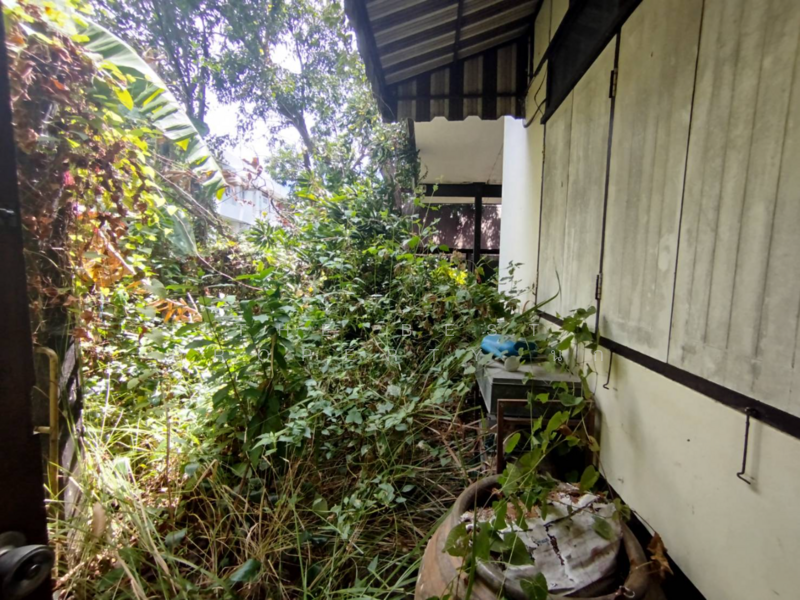 บ้านเดี่ยวพร้อมที่ดินพระโขนง กรุงเทพมหานคร, กรุงเทพ, บางจาก, พระโขนง, กรุงเทพ, 100 ตร.ม., บ้านเดี่ยว ขาย, โดย The Best Property นก, 500198275 - DDproperty.com