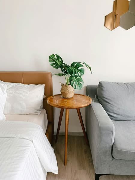 Rhythm Sukhumvit 36-38, Bangkok, 55 Soi Sukhumvit 36, Sukhumvit Road, Phra Kanong, Khlong Toei, Bangkok, 1 Bedroom, 25 sqm, Condo For Rent, by Aparasmi Mengoon, 500198320 - DDproperty.com