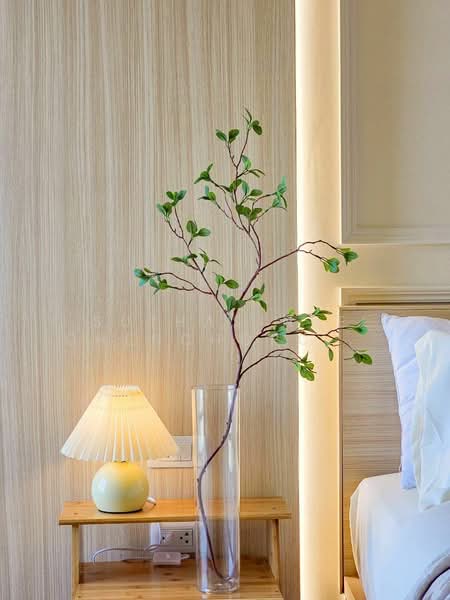 City Home ศรีนครินทร์, กรุงเทพ, - ซอยลาซาน ถนนสุขุมวิท, บางนา, บางนา, กรุงเทพ, 31 ตร.ม., คอนโด ขาย, โดย Suthasinee Chenchopching, 500198329 - DDproperty.com