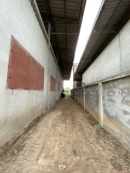 ให้เช่า - ที่ดินพร้อมสิ่งปลูกสร้างวิเศษชัยชาญ อ่างทอง, อ่างทอง