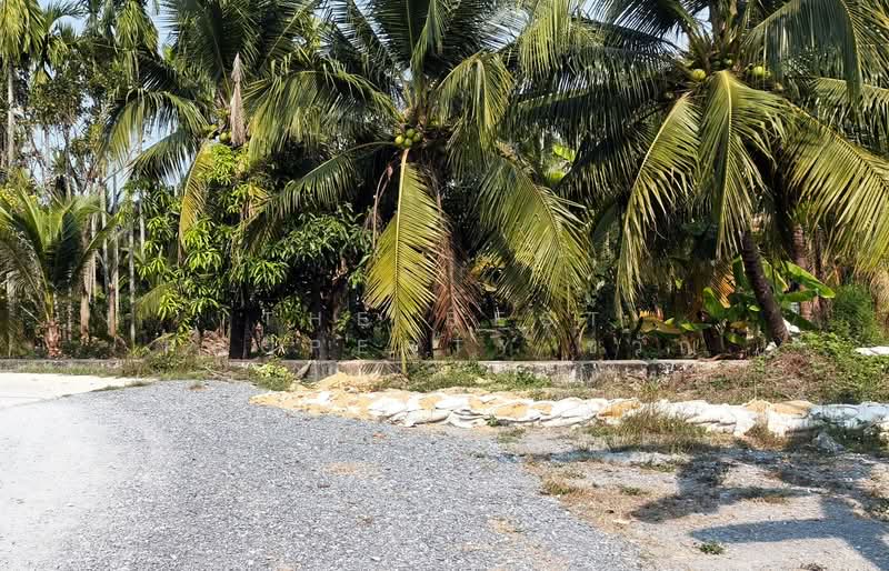 ที่ดินสามพราน นครปฐม, นครปฐม, สามพราน, สามพราน, นครปฐม, 800 ตร.ม., ที่ดิน ขาย, โดย The Best Property ขวัญ, 500198355 - DDproperty.com