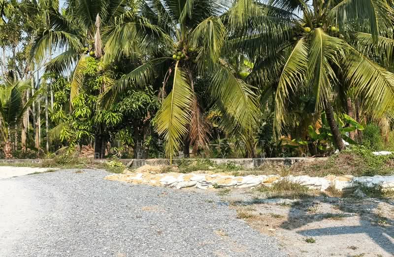 ที่ดินสามพราน นครปฐม, นครปฐม, สามพราน, สามพราน, นครปฐม, 800 ตร.ม., ที่ดิน ขาย, โดย The Best Property ขวัญ, 500198355 - DDproperty.com