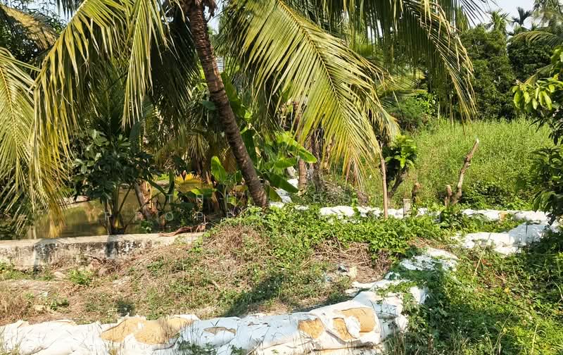 ที่ดินสามพราน นครปฐม, นครปฐม, สามพราน, สามพราน, นครปฐม, 800 ตร.ม., ที่ดิน ขาย, โดย The Best Property ขวัญ, 500198355 - DDproperty.com