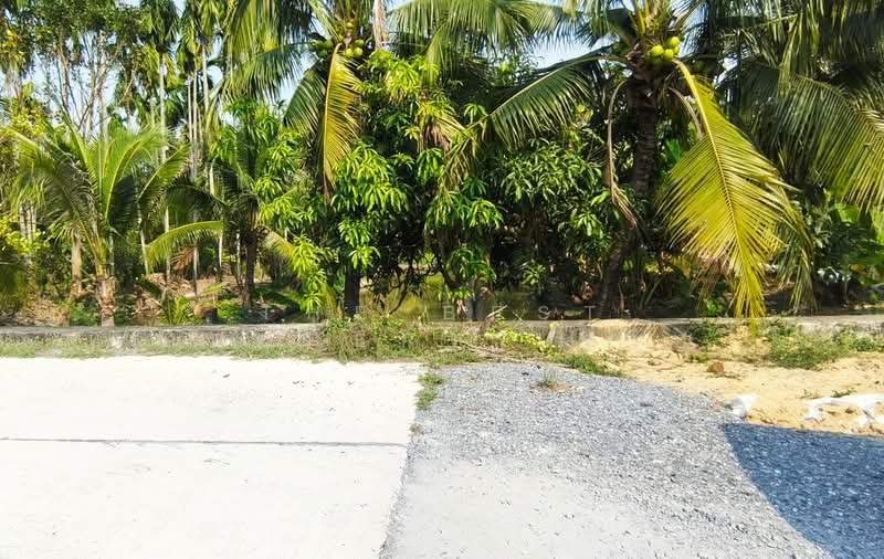 ที่ดินสามพราน นครปฐม, นครปฐม, สามพราน, สามพราน, นครปฐม, 800 ตร.ม., ที่ดิน ขาย, โดย The Best Property ขวัญ, 500198355 - DDproperty.com