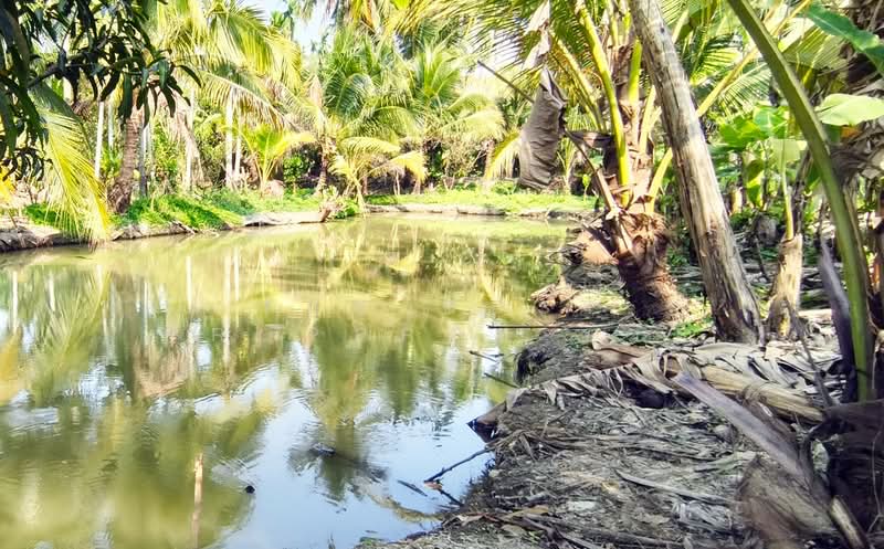 ที่ดินสามพราน นครปฐม, Nakhon Pathom, Sam Phran, Sam Phran, Nakhon Pathom, , 800 sqm, Land For Sale, by The Best Property ขวัญ, 500198355 - DDproperty.com