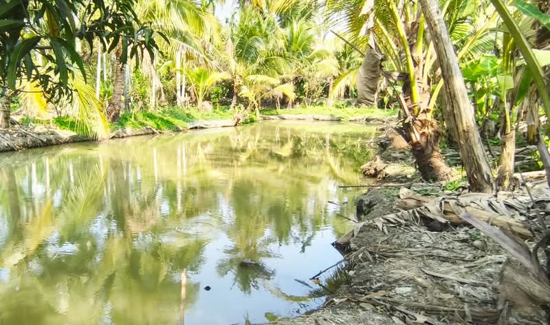 ที่ดินสามพราน นครปฐม, Nakhon Pathom, Sam Phran, Sam Phran, Nakhon Pathom, , 800 sqm, Land For Sale, by The Best Property ขวัญ, 500198355 - DDproperty.com