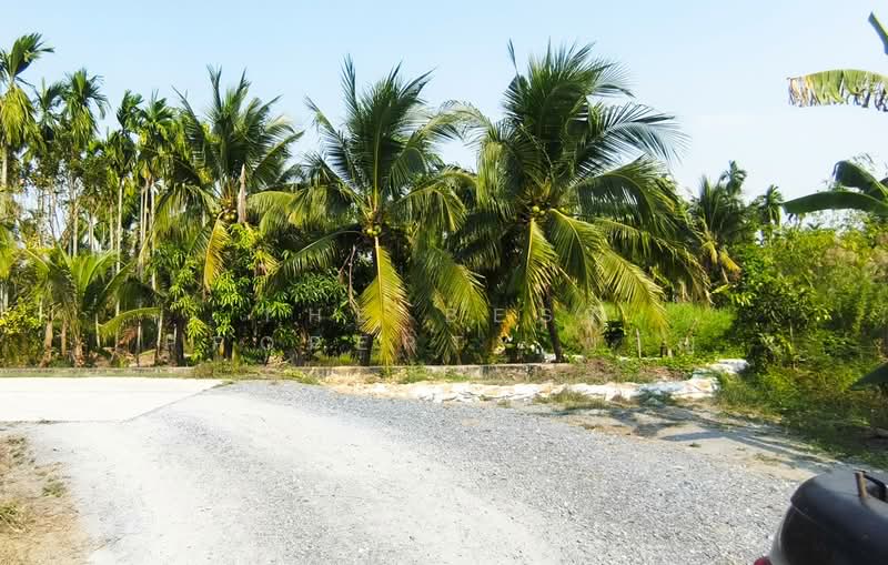 ที่ดินสามพราน นครปฐม, นครปฐม, สามพราน, สามพราน, นครปฐม, 800 ตร.ม., ที่ดิน ขาย, โดย The Best Property ขวัญ, 500198355 - DDproperty.com