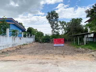 ขาย - ที่ดินสิงหนคร สงขลา, สงขลา