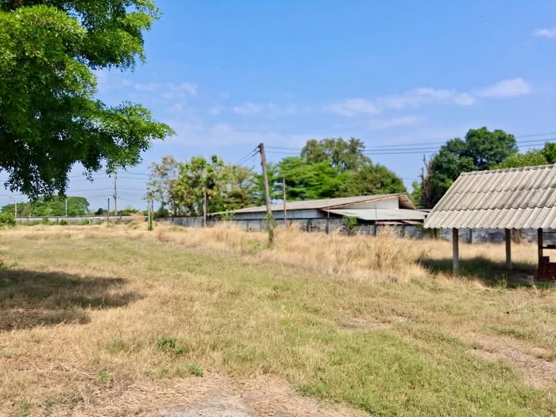 ที่ดินตรอน อุตรดิตถ์, Uttaradit, Wang Daeng, Tron, Uttaradit, , 2,184 sqm, Land For Sale, by The Best Property เล็ก, 500198373 - DDproperty.com