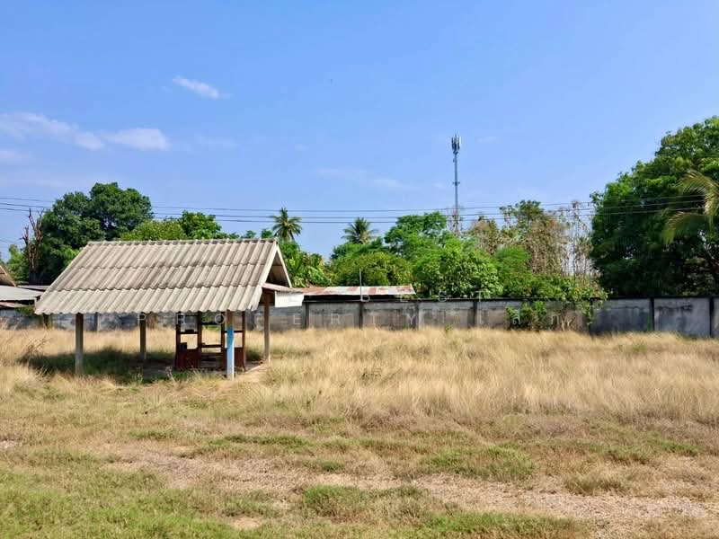 ที่ดินตรอน อุตรดิตถ์, Uttaradit, Wang Daeng, Tron, Uttaradit, , 2,184 sqm, Land For Sale, by The Best Property เล็ก, 500198373 - DDproperty.com
