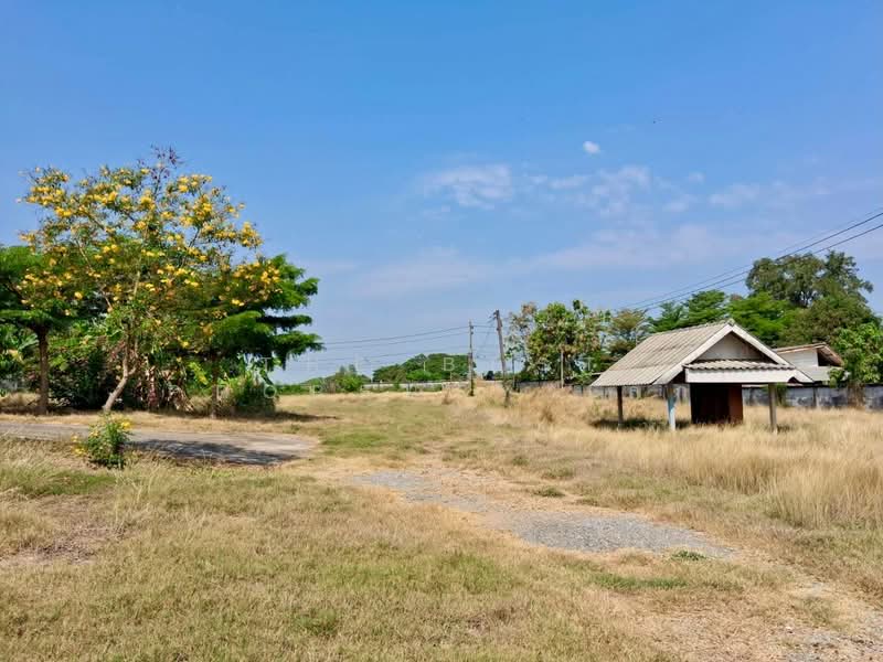 ที่ดินตรอน อุตรดิตถ์, อุตรดิตถ์, วังแดง, ตรอน, อุตรดิตถ์, 2,184 ตร.ม., ที่ดิน ขาย, โดย The Best Property เล็ก, 500198373 - DDproperty.com