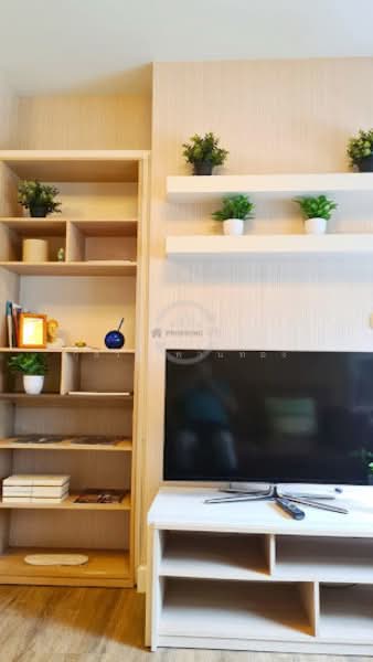 My Condo Sukhumvit 81, Bangkok, Soi Sukhumvit 81 Sukhumvit Road, Bang Chak, Phra Khanong, Bangkok, 1 Bedroom, 35 sqm, Condo For Sale, by กุลวดี พานทอง, 500198446 - DDproperty.com