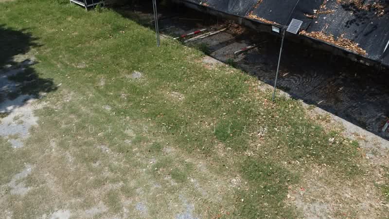 ที่ดินเปล่า แจ้งวัฒนะ, Bangkok, แจ้งวัฒนะ, Thung Song Hong, Lak Si, Bangkok, , 800 sqm, Land For Rent, by Jutarat Jitmun, 500198658 - DDproperty.com