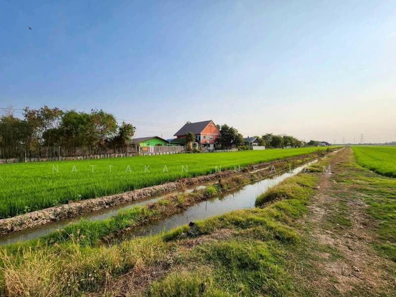 ต.ระแหง อ.ลาดหลุมแก้ว จ.ปทุมธานี, Pathum Thani, Ra Haeng, Lat Lum Kaeo, Pathum Thani, , 26,736 sqm, Land For Sale, by Nattakan nueaiam, 500198736 - DDproperty.com