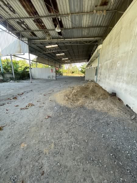 พุทธมณฑล สาย7 นครปฐม, Nakhon Pathom, Thiyawat, Nakhon Chai Sri, Nakhon Pathom, , 840 sqm, Business For Sale, by Nutthavadee Kittihut, 500198788 - DDproperty.com