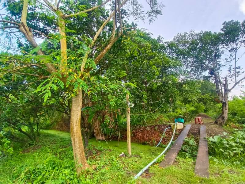 ที่ดินอัมพวา สมุทรสงคราม, Samut Songkhram, Muang-Mai, Amphawa, Samut Songkhram, , 15,272 sqm, Land For Sale, by The Best Property นุ้ย, 500198863 - DDproperty.com