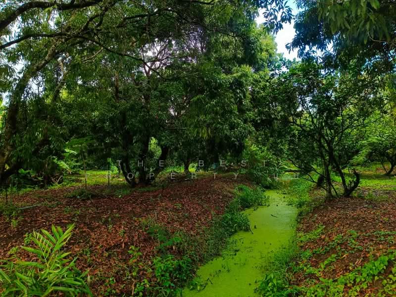 ที่ดินอัมพวา สมุทรสงคราม, Samut Songkhram, Muang-Mai, Amphawa, Samut Songkhram, , 15,272 sqm, Land For Sale, by The Best Property นุ้ย, 500198863 - DDproperty.com