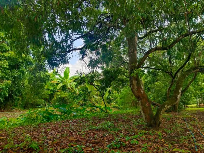 ที่ดินอัมพวา สมุทรสงคราม, Samut Songkhram, Muang-Mai, Amphawa, Samut Songkhram, , 15,272 sqm, Land For Sale, by The Best Property นุ้ย, 500198863 - DDproperty.com