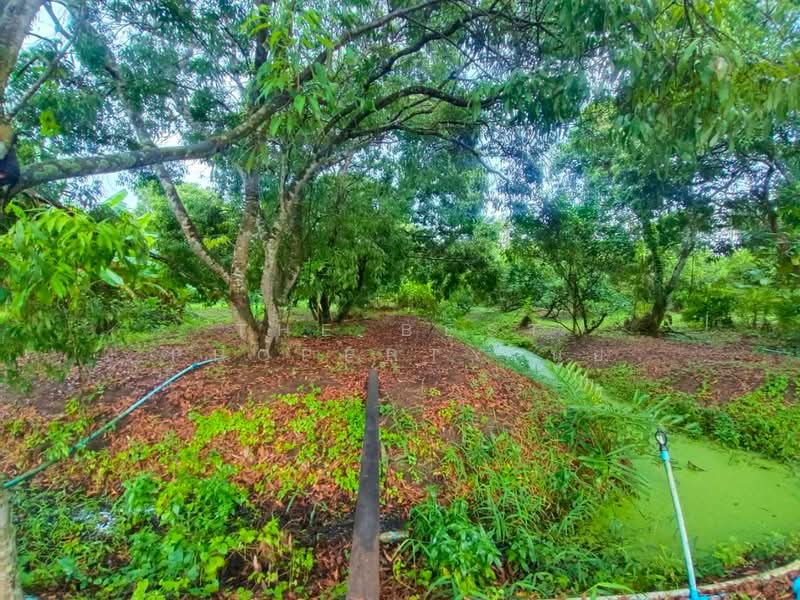 ที่ดินอัมพวา สมุทรสงคราม, Samut Songkhram, Muang-Mai, Amphawa, Samut Songkhram, , 15,272 sqm, Land For Sale, by The Best Property นุ้ย, 500198863 - DDproperty.com