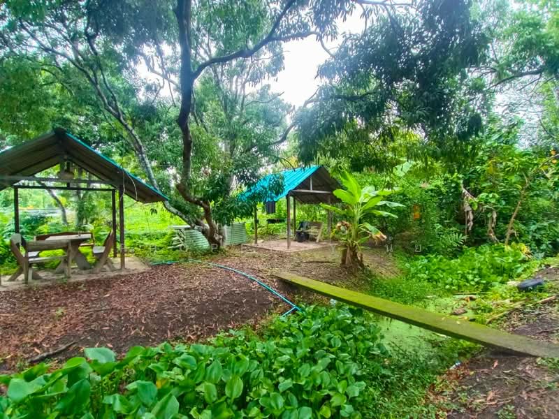 ที่ดินอัมพวา สมุทรสงคราม, Samut Songkhram, Muang-Mai, Amphawa, Samut Songkhram, , 15,272 sqm, Land For Sale, by The Best Property นุ้ย, 500198863 - DDproperty.com