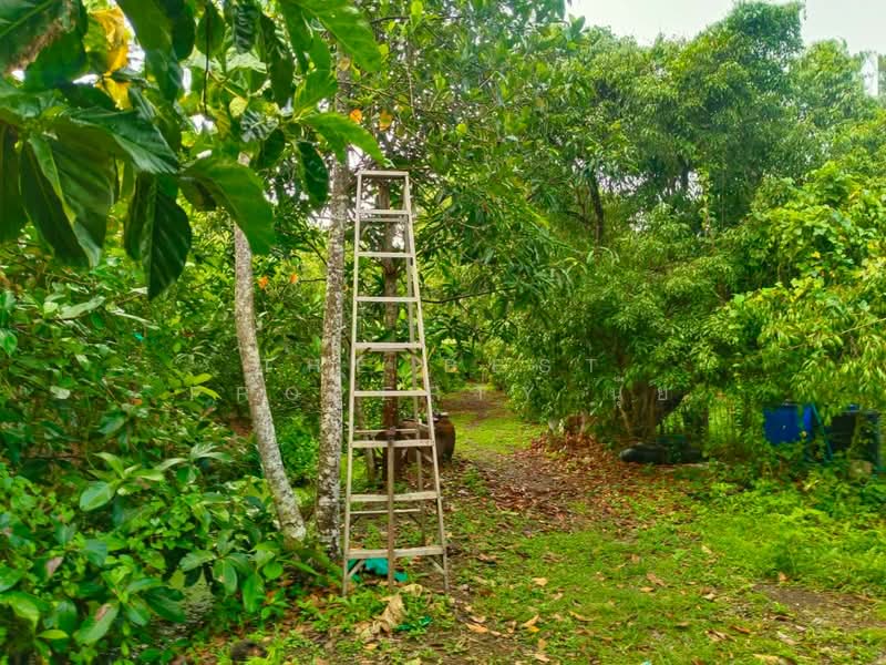 ที่ดินอัมพวา สมุทรสงคราม, สมุทรสงคราม, เหมืองใหม่, อัมพวา, สมุทรสงคราม, 15,272 ตร.ม., ที่ดิน ขาย, โดย The Best Property นุ้ย, 500198863 - DDproperty.com