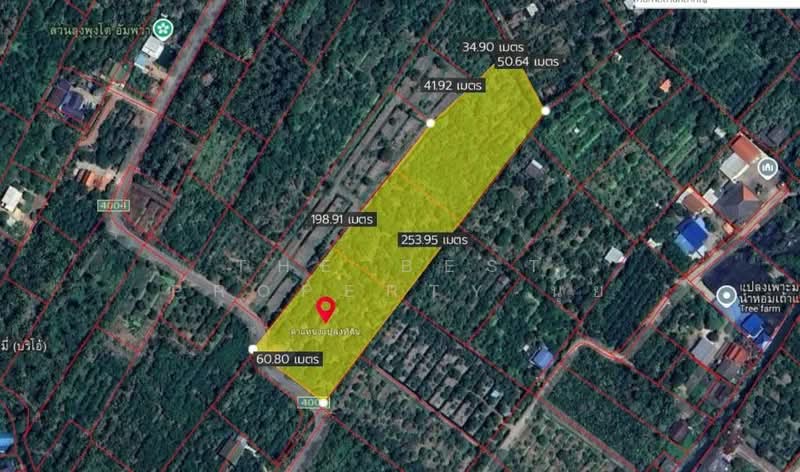 ที่ดินอัมพวา สมุทรสงคราม, Samut Songkhram, Muang-Mai, Amphawa, Samut Songkhram, , 15,272 sqm, Land For Sale, by The Best Property นุ้ย, 500198863 - DDproperty.com
