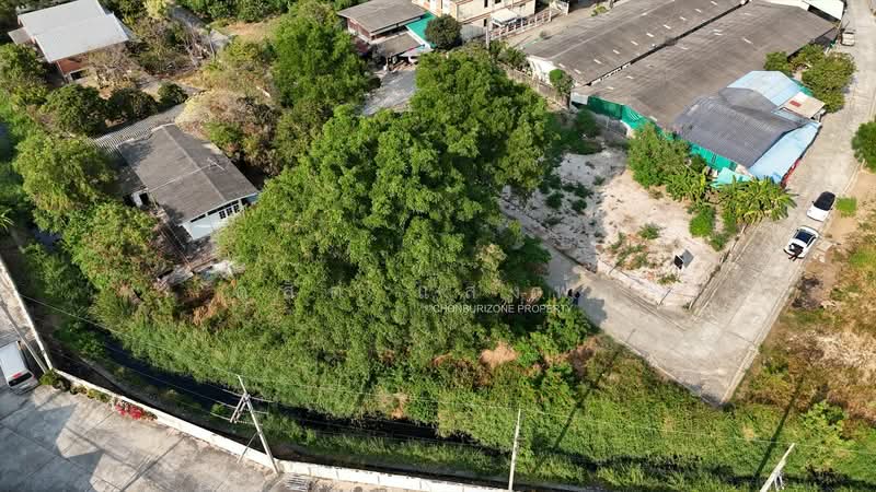 ขายถูกที่ิดินใจกลางเมือง อ่างศิลา ชลบุรี, Chon Buri (Pattaya), Ang Sila, Muang Chon Buri, Chon Buri (Pattaya), , 368 sqm, Land For Sale, by Dusit Saengfa, 500198881 - DDproperty.com