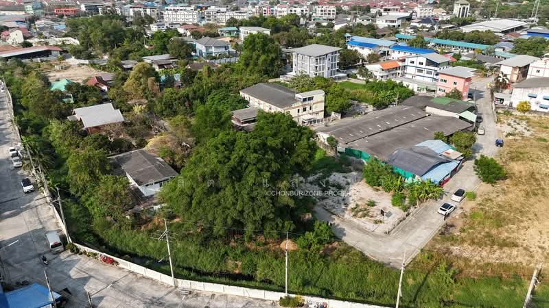 ขายถูกที่ิดินใจกลางเมือง อ่างศิลา ชลบุรี, Chon Buri (Pattaya), Ang Sila, Muang Chon Buri, Chon Buri (Pattaya), , 368 sqm, Land For Sale, by Dusit Saengfa, 500198881 - DDproperty.com