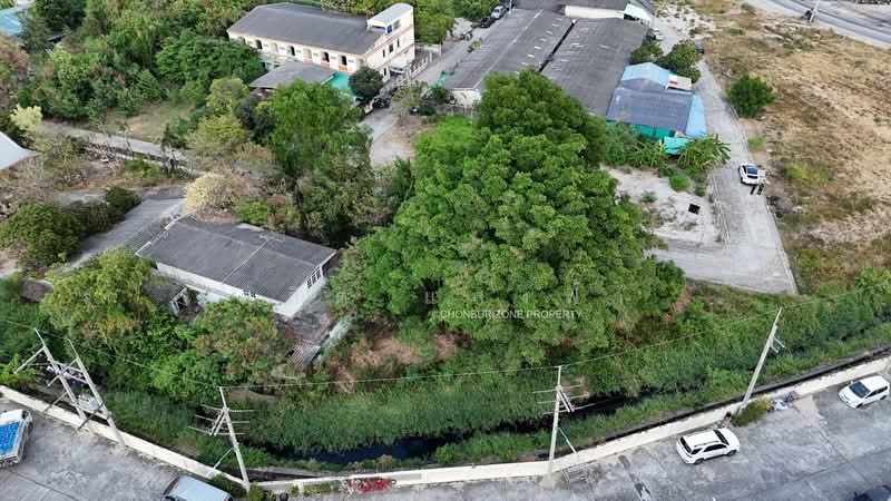 ขายถูกที่ิดินใจกลางเมือง อ่างศิลา ชลบุรี, Chon Buri (Pattaya), Ang Sila, Muang Chon Buri, Chon Buri (Pattaya), , 368 sqm, Land For Sale, by Dusit Saengfa, 500198881 - DDproperty.com