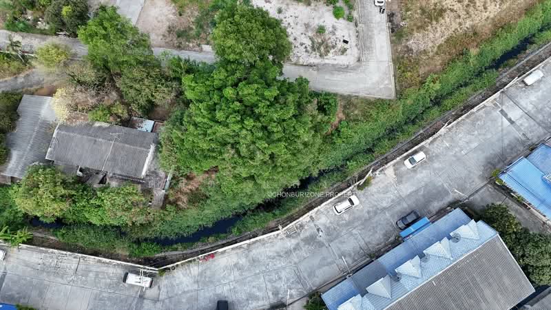 ขายถูกที่ิดินใจกลางเมือง อ่างศิลา ชลบุรี, Chon Buri (Pattaya), Ang Sila, Muang Chon Buri, Chon Buri (Pattaya), , 368 sqm, Land For Sale, by Dusit Saengfa, 500198881 - DDproperty.com