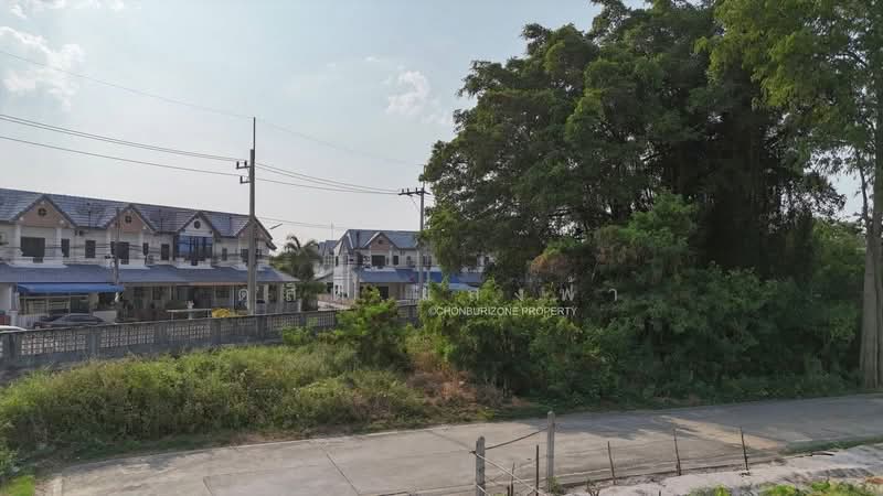 ขายถูกที่ิดินใจกลางเมือง อ่างศิลา ชลบุรี, Chon Buri (Pattaya), Ang Sila, Muang Chon Buri, Chon Buri (Pattaya), , 368 sqm, Land For Sale, by Dusit Saengfa, 500198881 - DDproperty.com