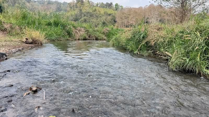 Land adjacent to the river, mountain views 4 rai located in Samoeng Tai, Samoeng, Chiang Mai, Chiang Mai, Sa Moeng Tai, Samoeng, Chiang Mai, , 6,760 sqm, Land For Sale, by Sirithong Saetang, 500198889 - DDproperty.com