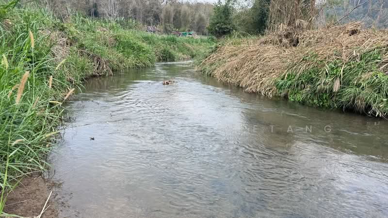 Land adjacent to the river, mountain views 4 rai located in Samoeng Tai, Samoeng, Chiang Mai, Chiang Mai, Sa Moeng Tai, Samoeng, Chiang Mai, , 6,760 sqm, Land For Sale, by Sirithong Saetang, 500198889 - DDproperty.com