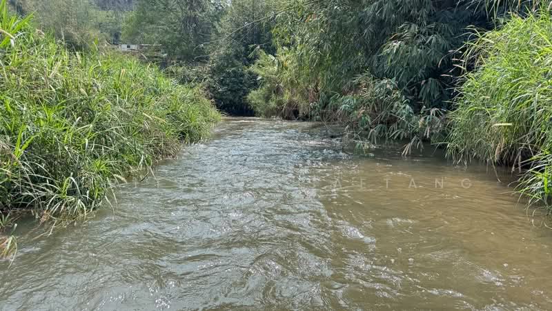 Land adjacent to the river, mountain views 4 rai located in Samoeng Tai, Samoeng, Chiang Mai, Chiang Mai, Sa Moeng Tai, Samoeng, Chiang Mai, , 6,760 sqm, Land For Sale, by Sirithong Saetang, 500198889 - DDproperty.com