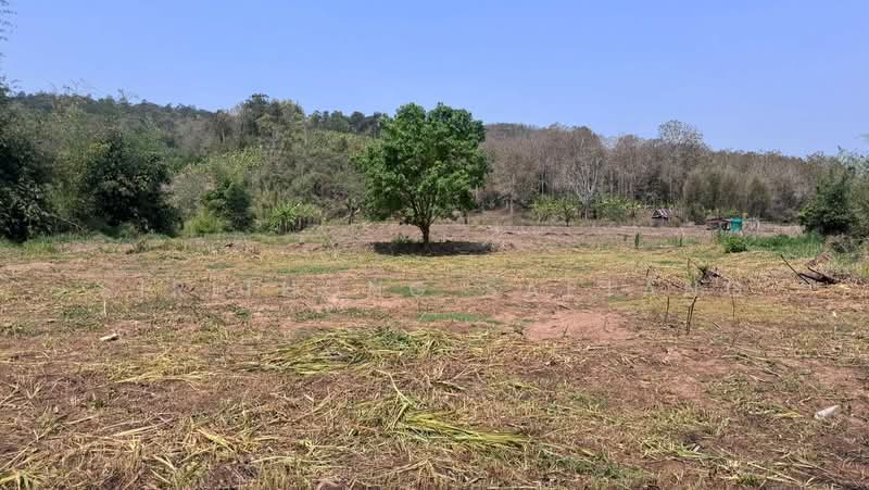 Land adjacent to the river, mountain views 4 rai located in Samoeng Tai, Samoeng, Chiang Mai, Chiang Mai, Sa Moeng Tai, Samoeng, Chiang Mai, , 6,760 sqm, Land For Sale, by Sirithong Saetang, 500198889 - DDproperty.com