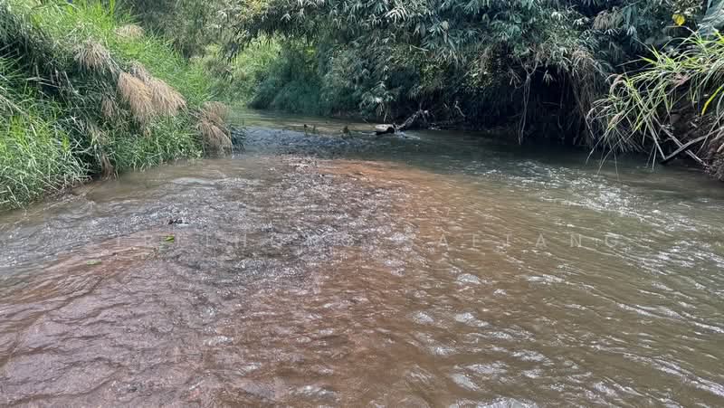 Land adjacent to the river, mountain views 4 rai located in Samoeng Tai, Samoeng, Chiang Mai, Chiang Mai, Sa Moeng Tai, Samoeng, Chiang Mai, , 6,760 sqm, Land For Sale, by Sirithong Saetang, 500198889 - DDproperty.com