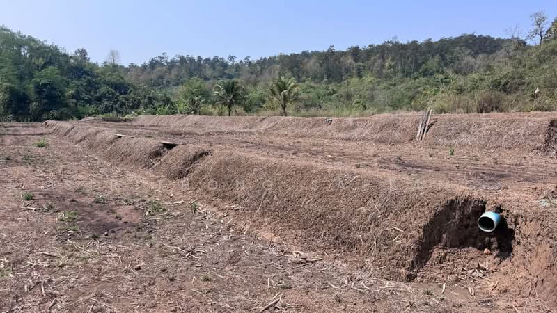 ขาย - ขายที่ดินเชียงใหม่ ที่นาขั้นบันได ติดลำธาร วิวภูเขาล้อมรอบ 4 ไร่เศษ ตำบลสะเมิงใต้ สะเมิง เชียงใหม่, เชียงใหม่