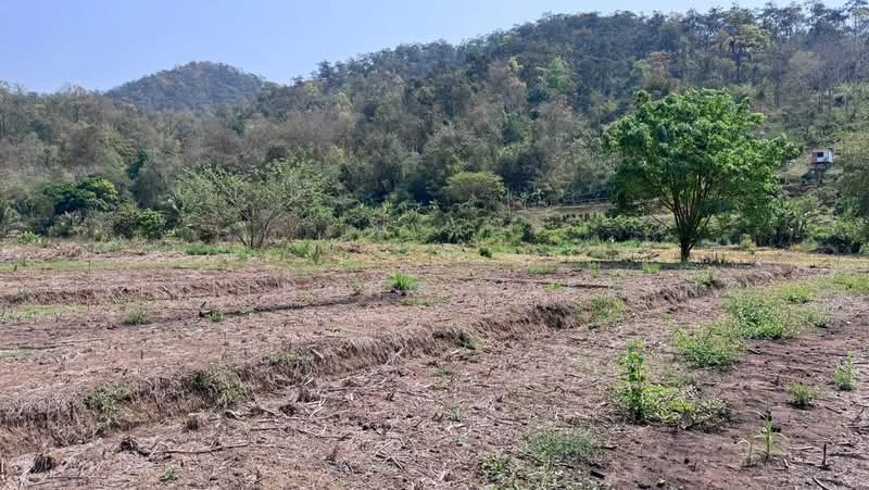 Land adjacent to the river, mountain views 4 rai located in Samoeng Tai, Samoeng, Chiang Mai, Chiang Mai, Sa Moeng Tai, Samoeng, Chiang Mai, , 6,760 sqm, Land For Sale, by Sirithong Saetang, 500198889 - DDproperty.com