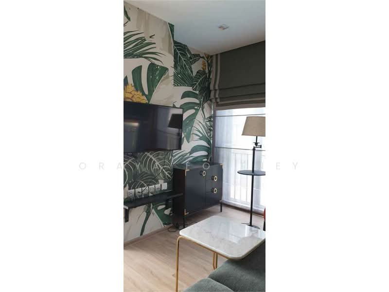 Kawa Haus, Bangkok, 95 Soi Rim Khlong, Phra Kanong Nua, Watthana, Bangkok, 1 Bedroom, 40 sqm, Condo For Rent, by Oraya Fortney, 500198891 - DDproperty.com